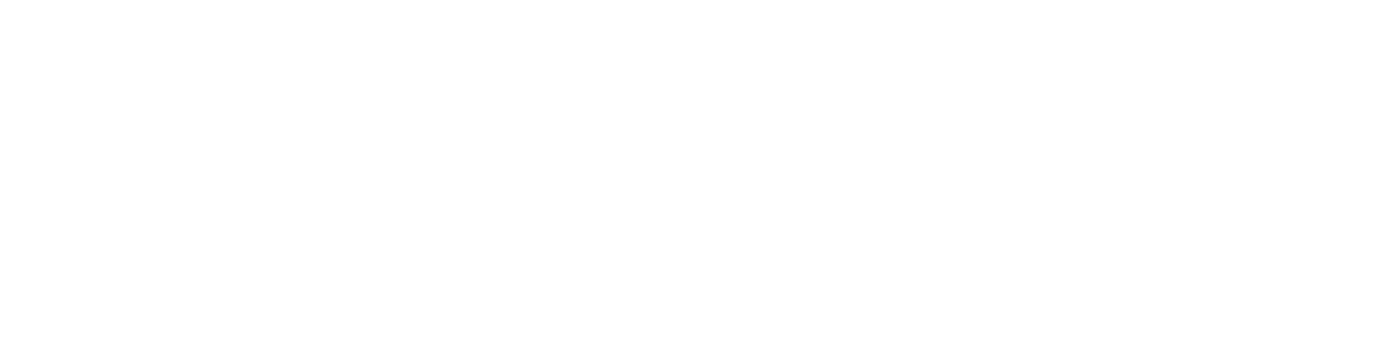 All In One Protection Logo